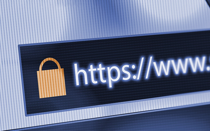 HTTPS varna povezava